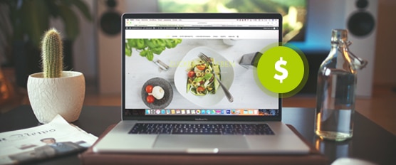 Cost of WordPress Websites