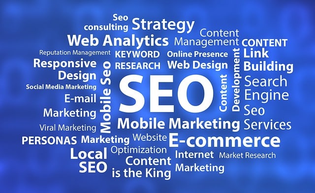 Tampa Seo