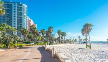 Clearwater florida digital Marketing Agency