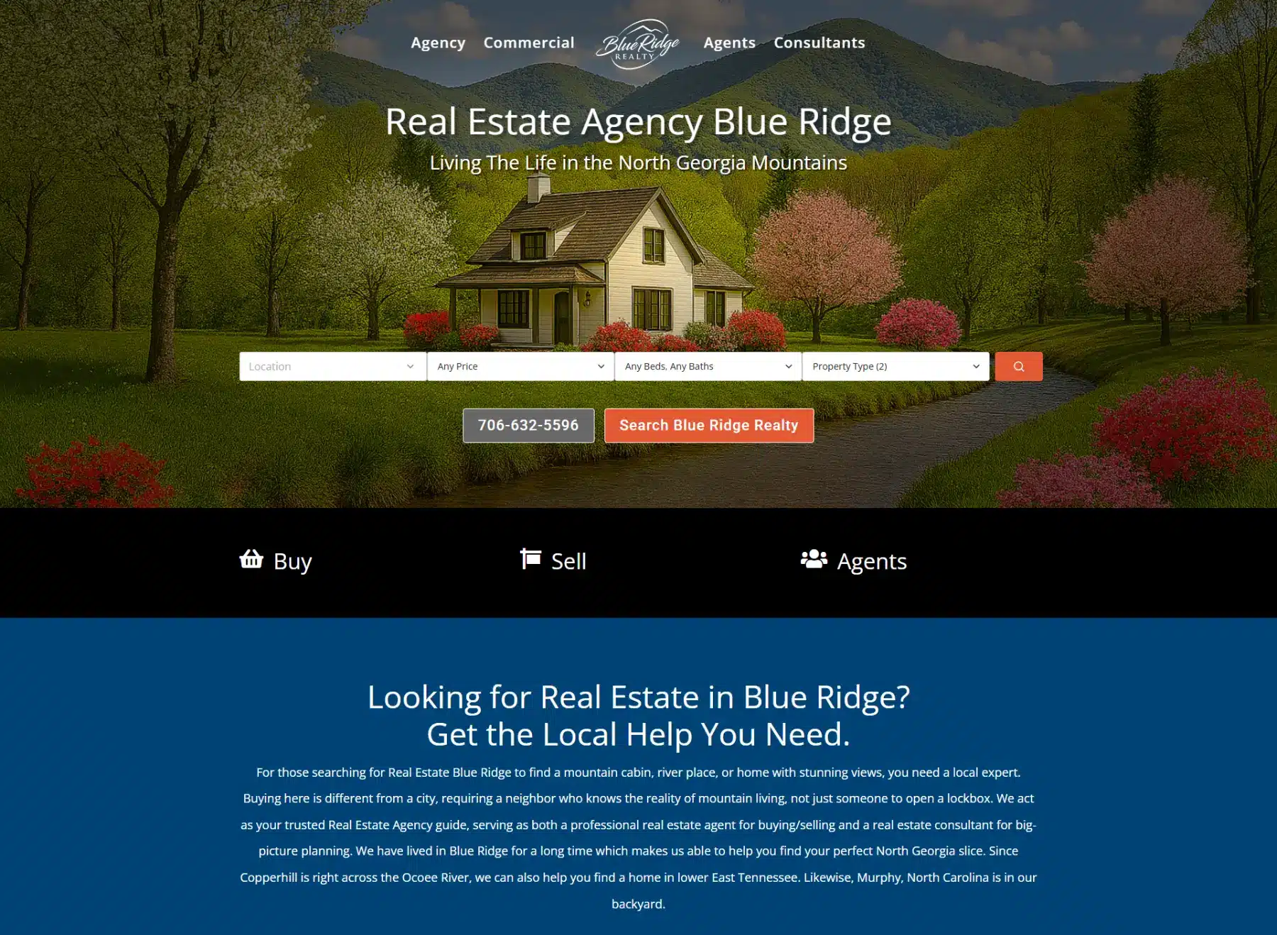Blue Ridge Realty web image