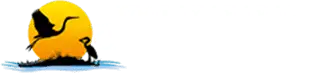 Wesley Chapel Chiropractic